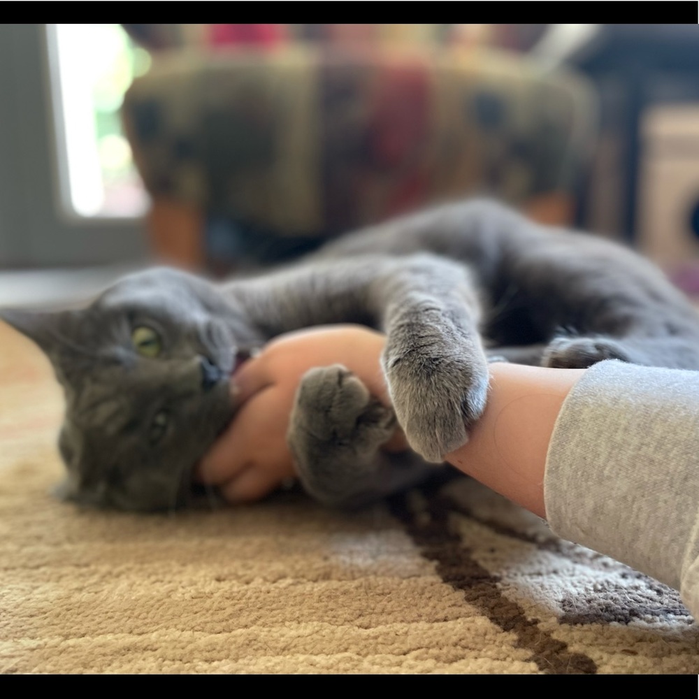 Meet your Posher, Sara